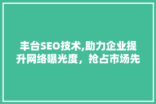 丰台SEO技术,助力企业提升网络曝光度，抢占市场先机