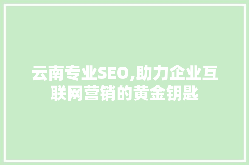 云南专业SEO,助力企业互联网营销的黄金钥匙