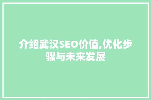 介绍武汉SEO价值,优化步骤与未来发展