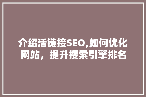 介绍活链接SEO,如何优化网站，提升搜索引擎排名