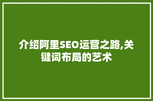 介绍阿里SEO运营之路,关键词布局的艺术