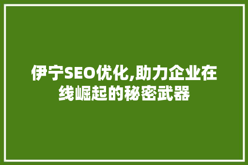 伊宁SEO优化,助力企业在线崛起的秘密武器