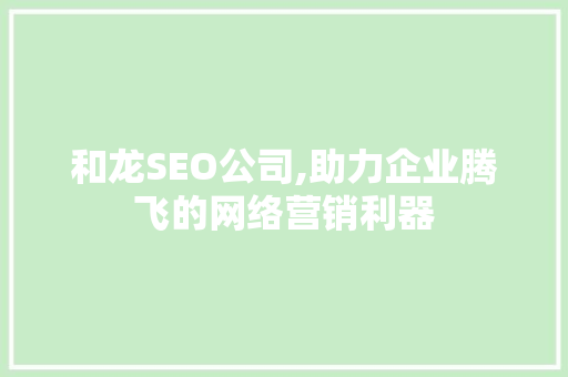 和龙SEO公司,助力企业腾飞的网络营销利器