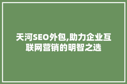 天河SEO外包,助力企业互联网营销的明智之选