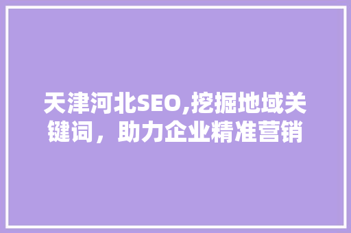 天津河北SEO,挖掘地域关键词，助力企业精准营销