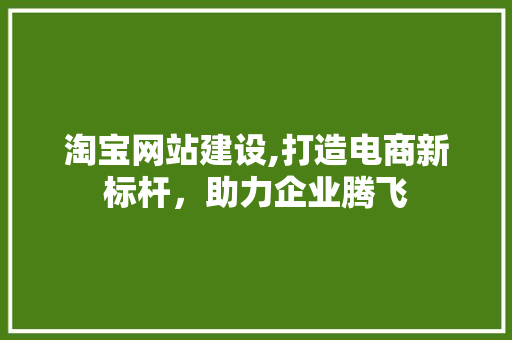 淘宝网站建设,打造电商新标杆，助力企业腾飞