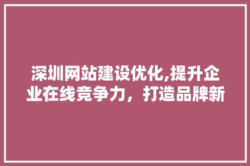 深圳网站建设优化,提升企业在线竞争力，打造品牌新形象