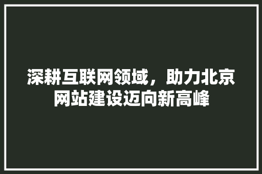 深耕互联网领域，助力北京网站建设迈向新高峰
