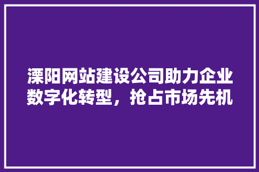 溧阳网站建设公司助力企业数字化转型，抢占市场先机