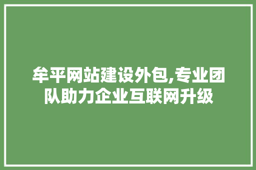 牟平网站建设外包,专业团队助力企业互联网升级