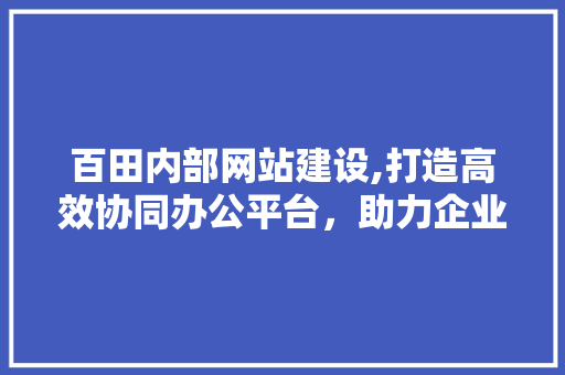 百田内部网站建设,打造高效协同办公平台，助力企业腾飞