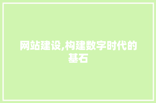 网站建设,构建数字时代的基石