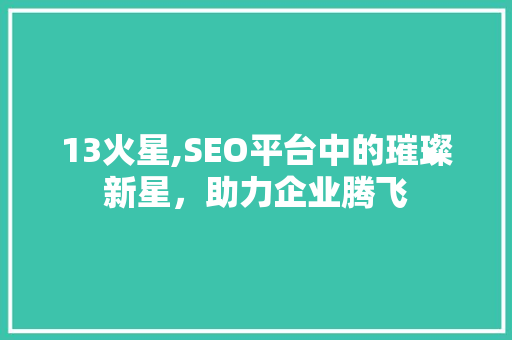 13火星,SEO平台中的璀璨新星，助力企业腾飞