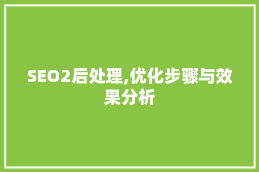 SEO2后处理,优化步骤与效果分析