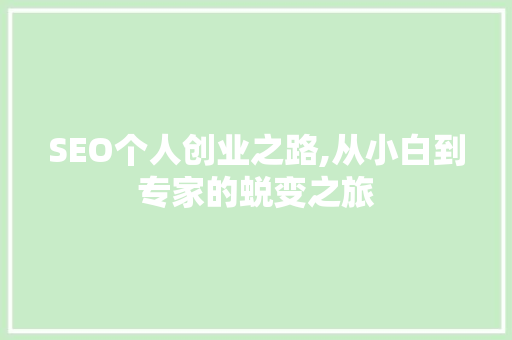 SEO个人创业之路,从小白到专家的蜕变之旅