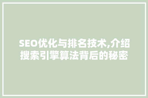 SEO优化与排名技术,介绍搜索引擎算法背后的秘密