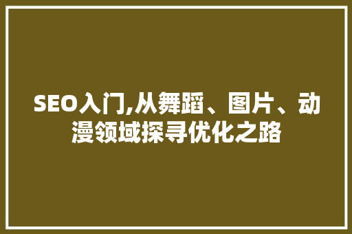 SEO入门,从舞蹈、图片、动漫领域探寻优化之路