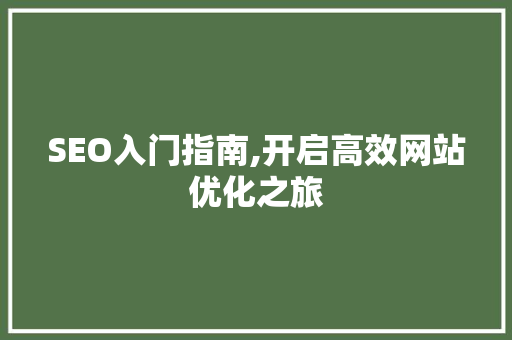 SEO入门指南,开启高效网站优化之旅