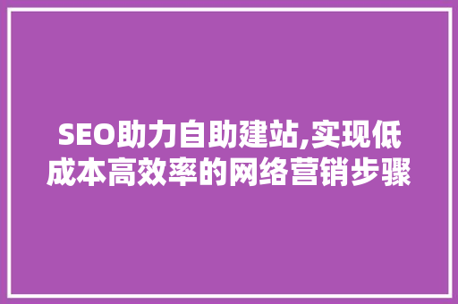 SEO助力自助建站,实现低成本高效率的网络营销步骤