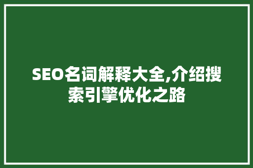 SEO名词解释大全,介绍搜索引擎优化之路