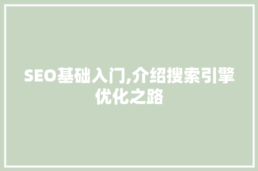 SEO基础入门,介绍搜索引擎优化之路