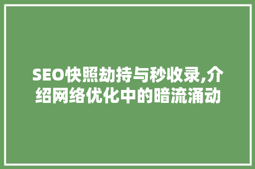 SEO快照劫持与秒收录,介绍网络优化中的暗流涌动
