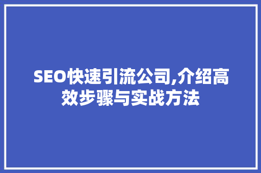 SEO快速引流公司,介绍高效步骤与实战方法