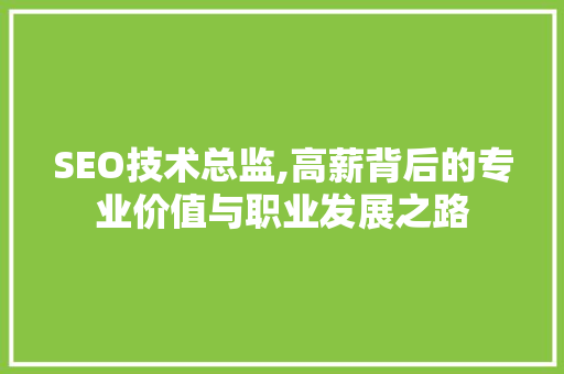 SEO技术总监,高薪背后的专业价值与职业发展之路