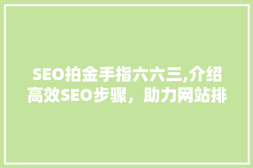 SEO拍金手指六六三,介绍高效SEO步骤，助力网站排名飞跃