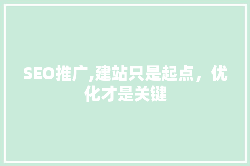 SEO推广,建站只是起点，优化才是关键