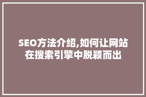 SEO方法介绍,如何让网站在搜索引擎中脱颖而出