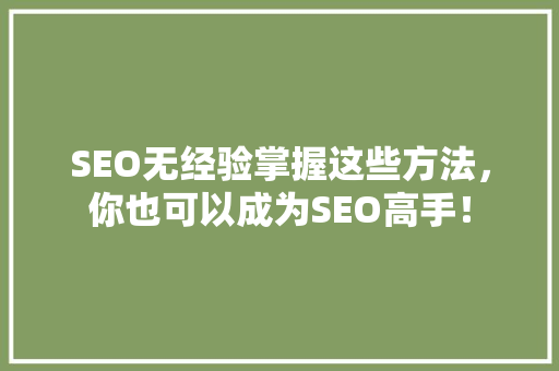 SEO无经验掌握这些方法，你也可以成为SEO高手！
