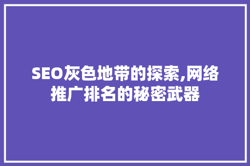 SEO灰色地带的探索,网络推广排名的秘密武器