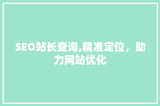 SEO站长查询,精准定位，助力网站优化