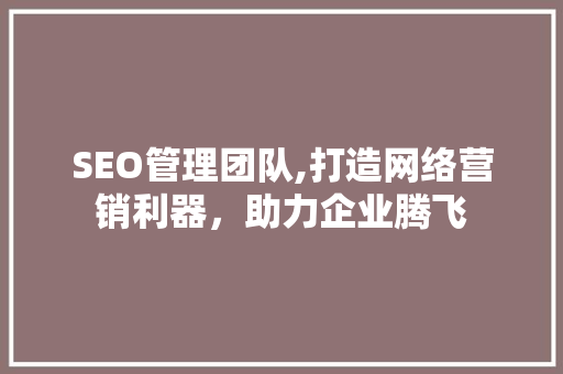 SEO管理团队,打造网络营销利器，助力企业腾飞