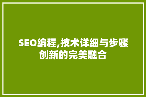 SEO编程,技术详细与步骤创新的完美融合