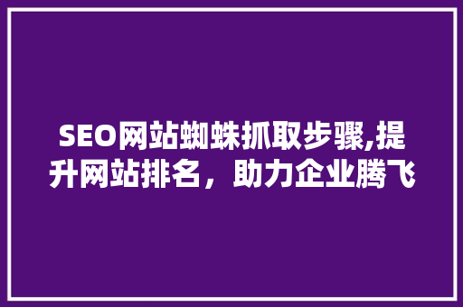 SEO网站蜘蛛抓取步骤,提升网站排名，助力企业腾飞
