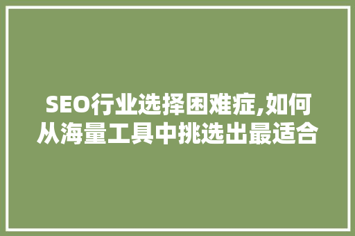 SEO行业选择困难症,如何从海量工具中挑选出最适合你的利器