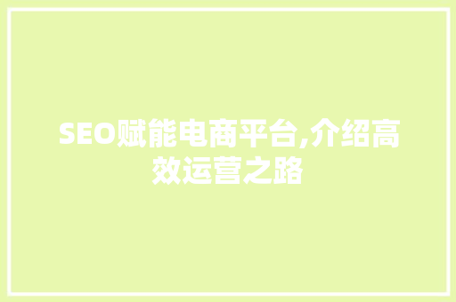 SEO赋能电商平台,介绍高效运营之路