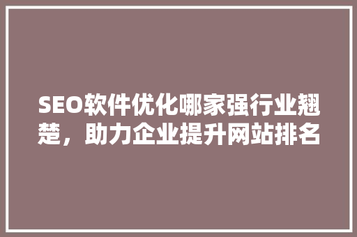 SEO软件优化哪家强行业翘楚，助力企业提升网站排名