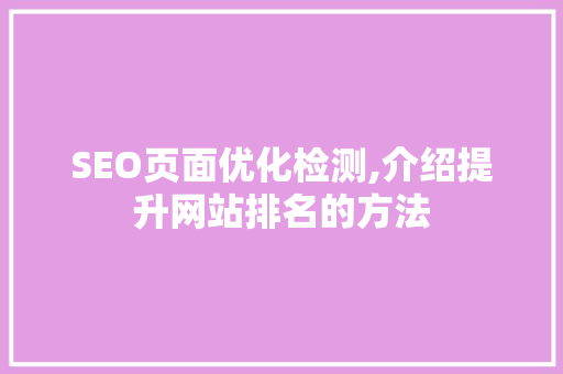 SEO页面优化检测,介绍提升网站排名的方法