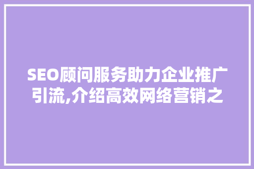 SEO顾问服务助力企业推广引流,介绍高效网络营销之路