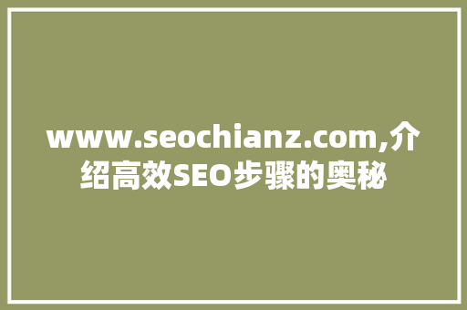 www.seochianz.com,介绍高效SEO步骤的奥秘