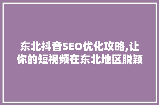 东北抖音SEO优化攻略,让你的短视频在东北地区脱颖而出