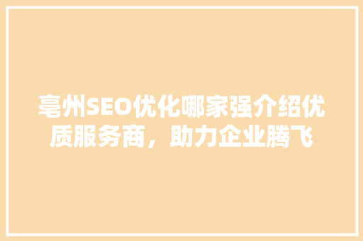 亳州SEO优化哪家强介绍优质服务商，助力企业腾飞