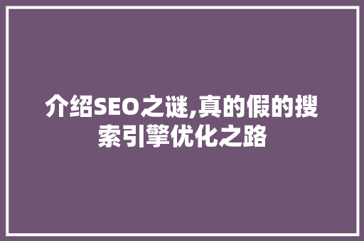 介绍SEO之谜,真的假的搜索引擎优化之路