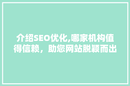 介绍SEO优化,哪家机构值得信赖，助您网站脱颖而出