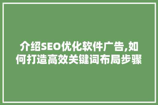 介绍SEO优化软件广告,如何打造高效关键词布局步骤