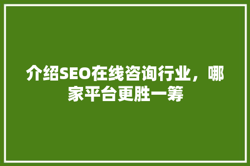 介绍SEO在线咨询行业，哪家平台更胜一筹