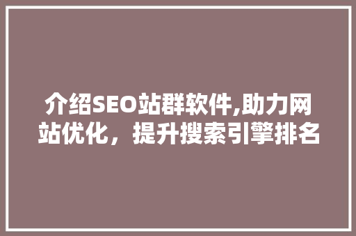 介绍SEO站群软件,助力网站优化，提升搜索引擎排名的利器